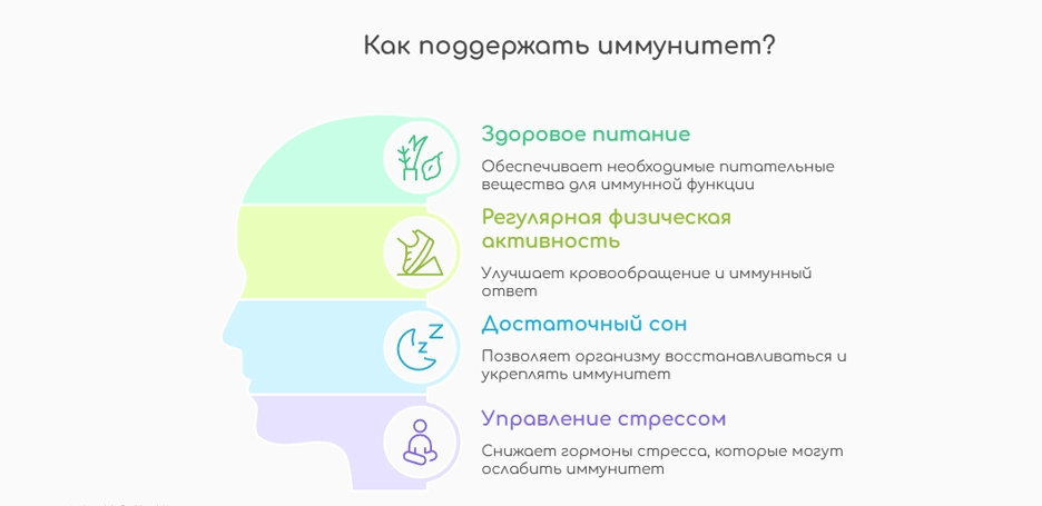 Как поддержать иммунитет? (инфографика)